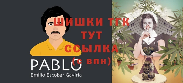 крисы Богородицк