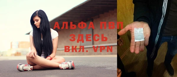 mdpv Богородск