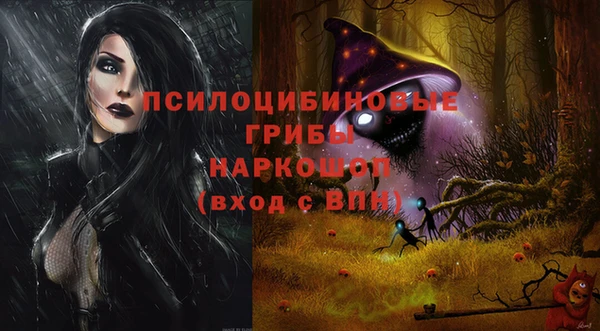 ешки Богданович