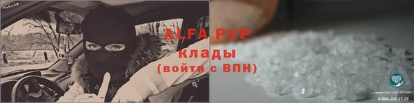 крисы Богородицк