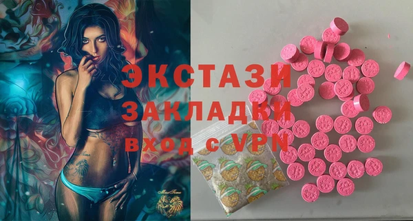 крисы Богородицк