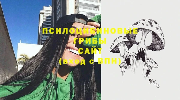 ешки Богданович