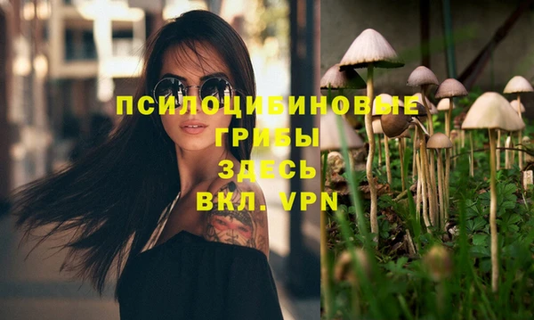 крисы Богородицк